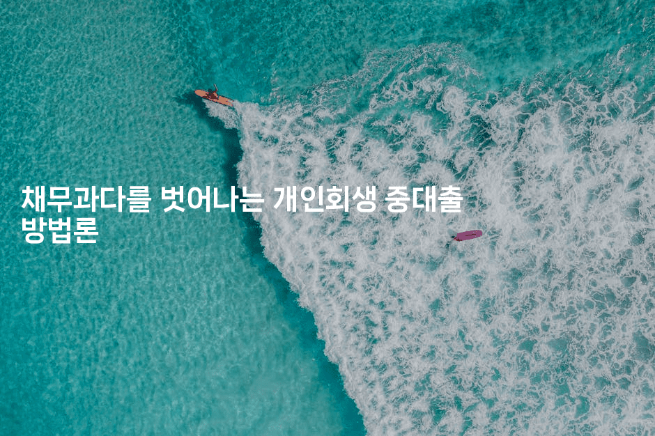 채무과다를 벗어나는 개인회생 중대출 방법론-멍멍미야