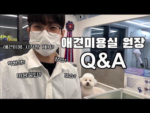 구독자 1만명 애견미용사 Q&A | 애견미용사 현실,고충 솔직답변