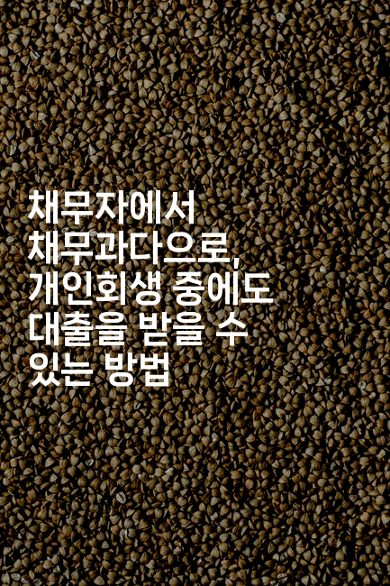 채무자에서 채무과다으로, 개인회생 중에도 대출을 받을 수 있는 방법-멍멍미야