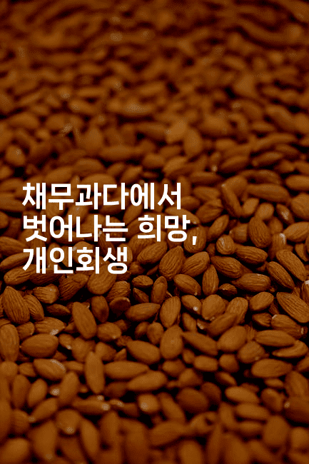 채무과다에서 벗어나는 희망, 개인회생