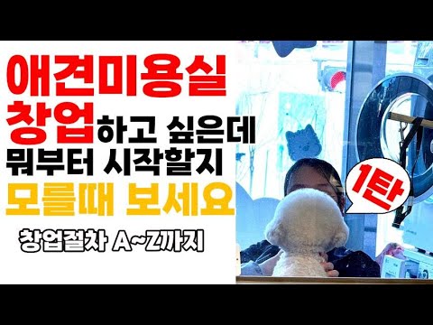 애견미용샵 창업절차 A-Z까지 총정리