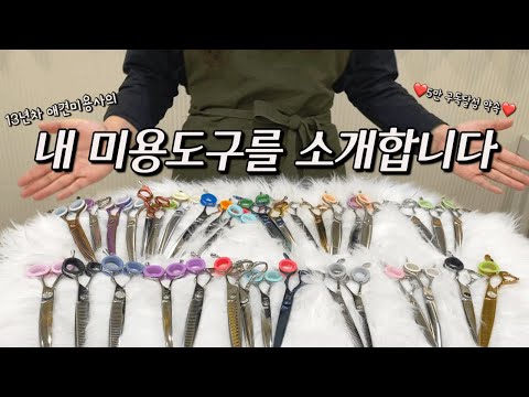 애견미용는 장비빨~?! 프로 애견미용사 장비소개 / Introduction of tools used by professional dog groomers.