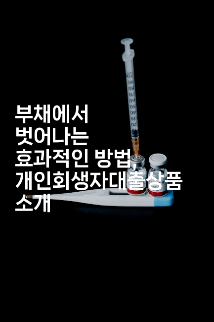 부채에서 벗어나는 효과적인 방법, 개인회생자대출상품 소개-멍멍미야